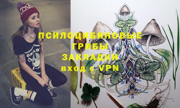 эйфоретик Майский