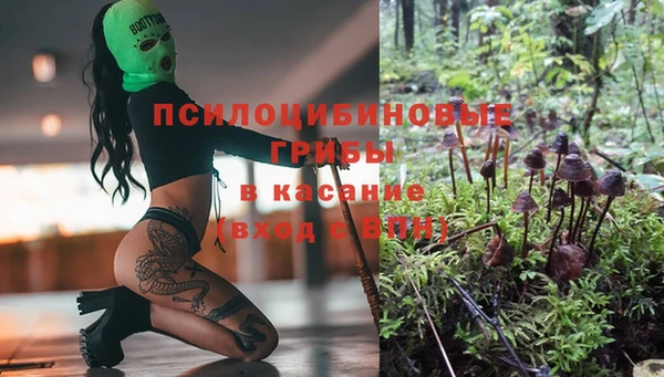 эйфоретик Майский