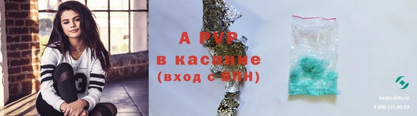 spice Магас