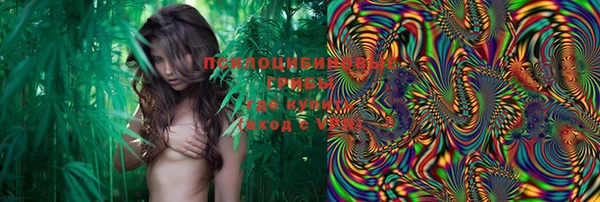 твердый Болхов