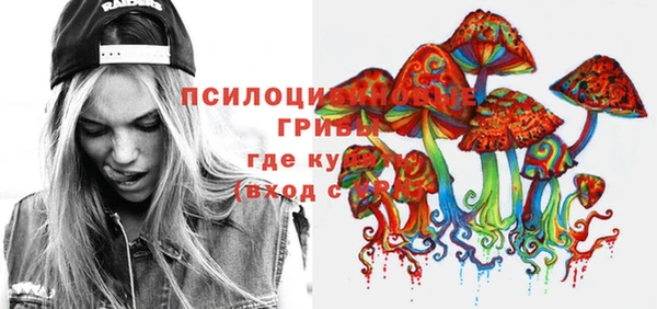 spice Магас
