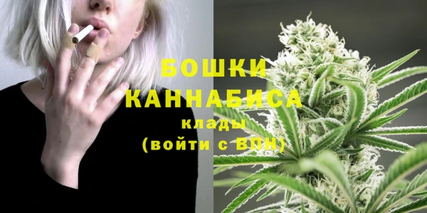эйфоретик Майский