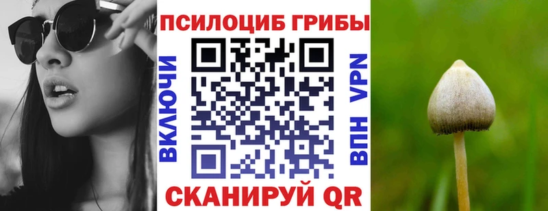 Купить  Константиновск  Галлюциногенные грибы Psilocybine cubensis 